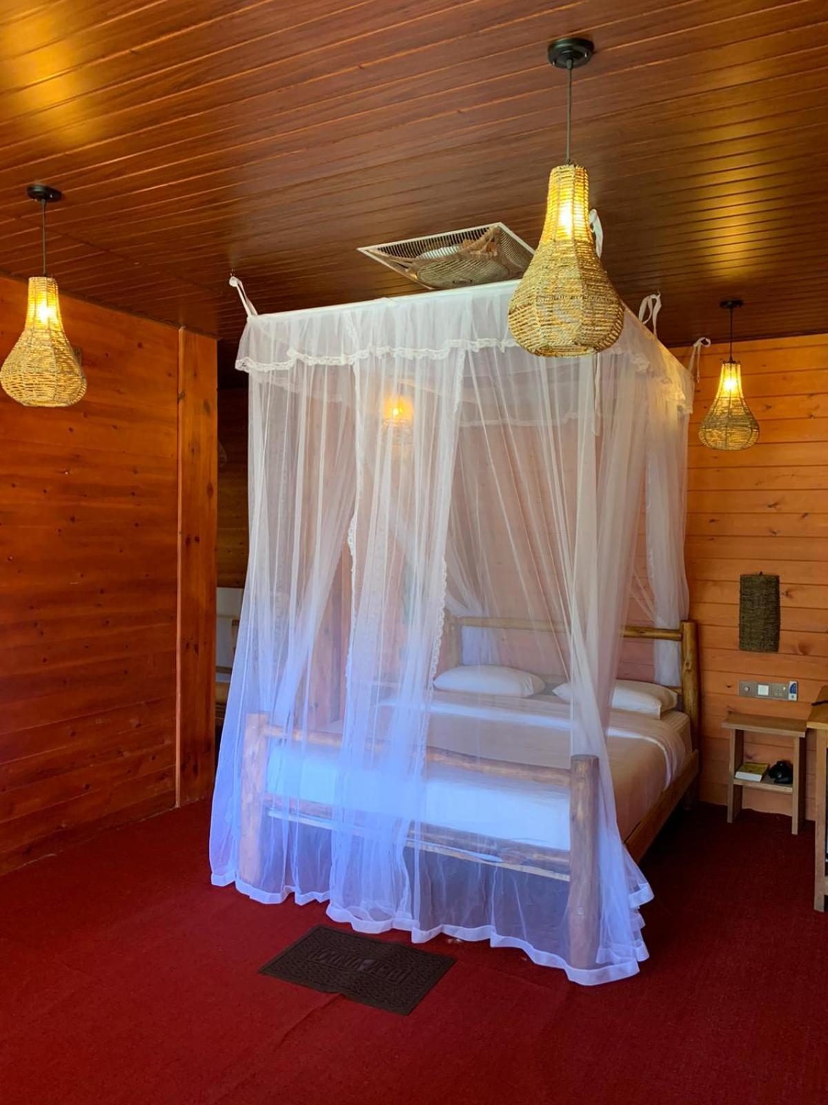 Ella Wood Cabin 객실 사진