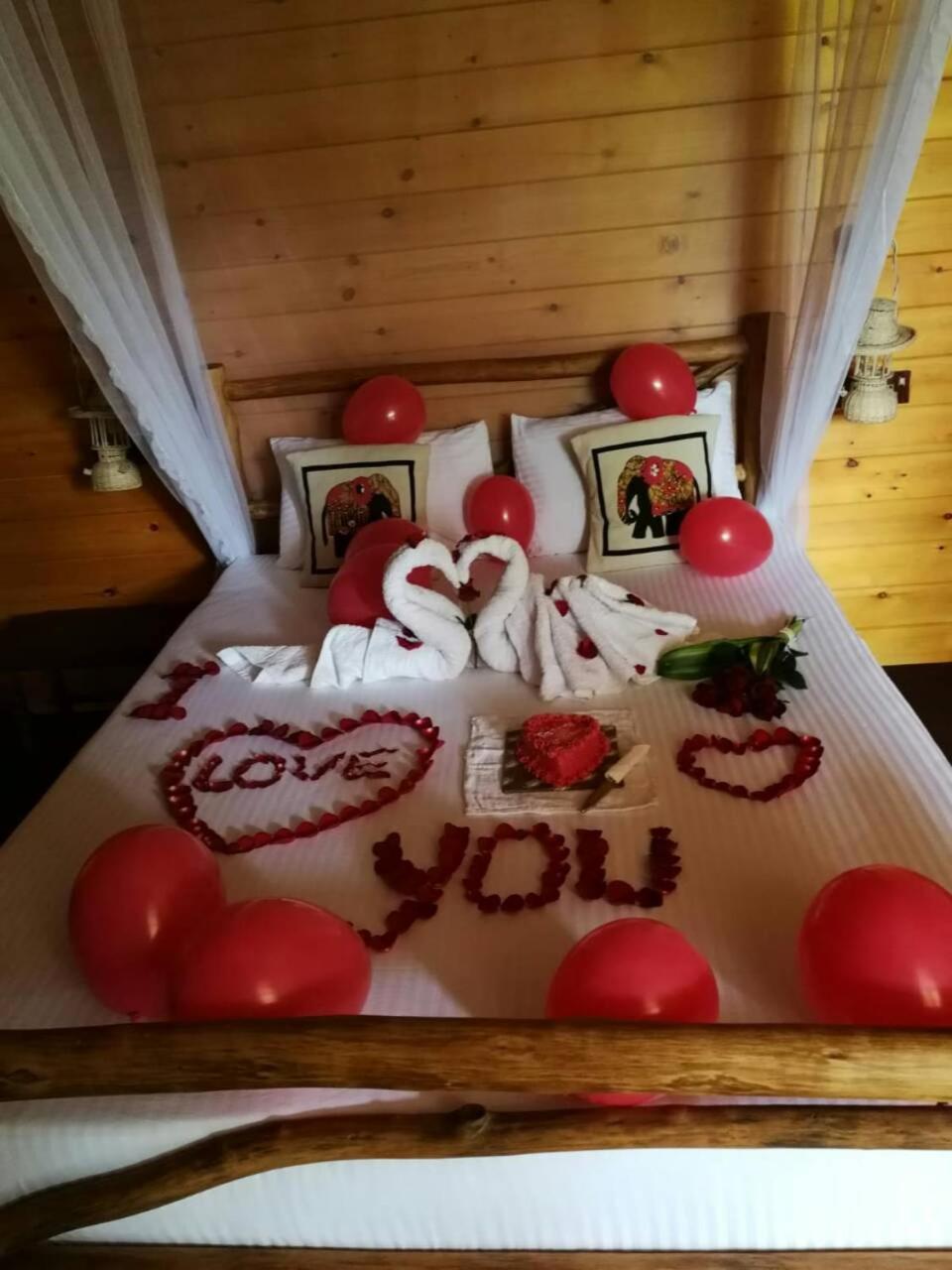 Ella Wood Cabin 외부 사진
