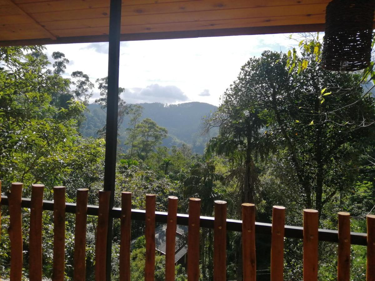 Ella Wood Cabin 외부 사진